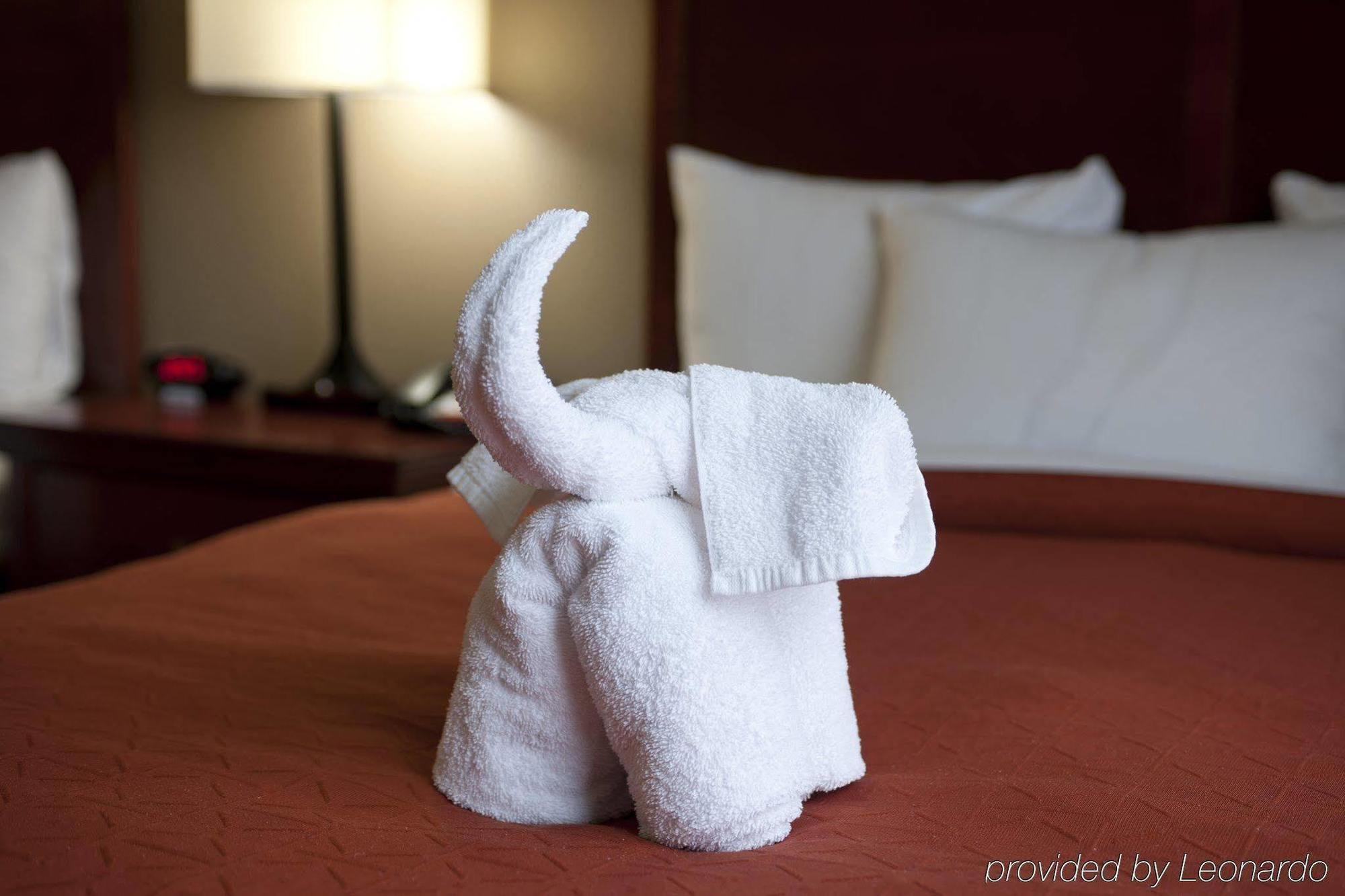 Seffner Inn And Suites ภายนอก รูปภาพ